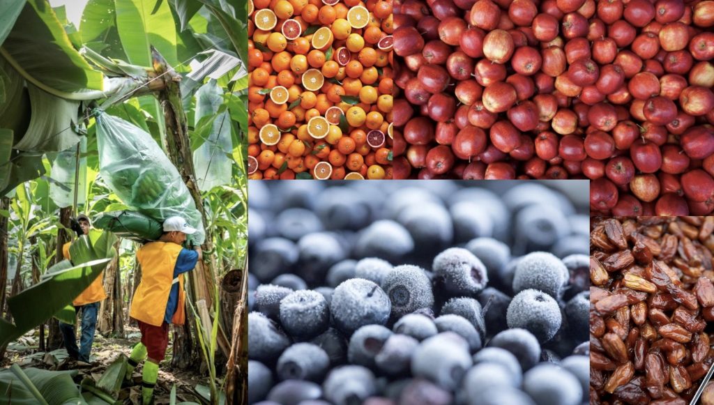 DPW Fruit Logistica 2024